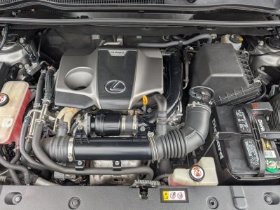 2019 Lexus NX 300 AWD