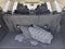 2023 Subaru Ascent Limited 7-Passenger