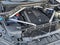 2019 BMW X5 xDrive40i Sports Activity Vehicle