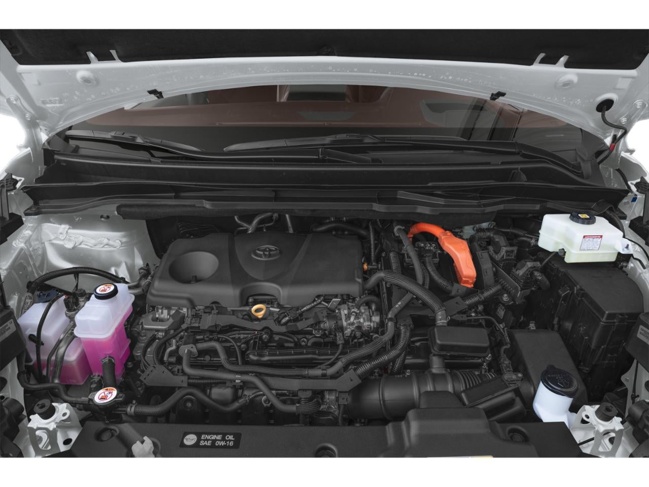 2024 Toyota Sienna Platinum AWD 7-Passenger (Natl)