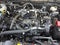 2025 Ford Bronco Big Bend 4 Door 4x4