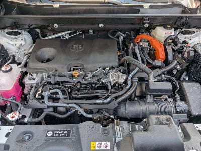 2025 Toyota RAV4 Hybrid LE AWD (Natl)