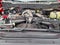 2026 Ford Super Duty F-250 SRW XL 4WD SuperCab 6.75' Box