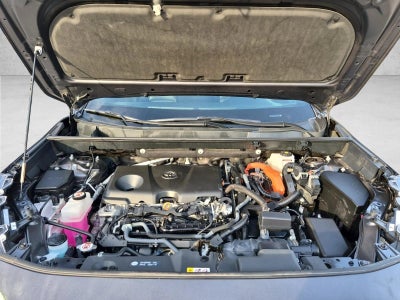 2024 Toyota RAV4 Hybrid XSE AWD (Natl)