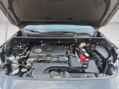 2025 Toyota RAV4 LE AWD (Natl)