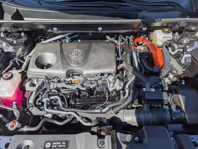 2025 Toyota RAV4 Hybrid LE AWD (Natl)