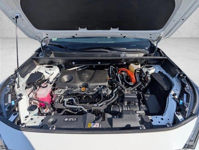 2025 Toyota RAV4 Hybrid LE AWD (Natl)