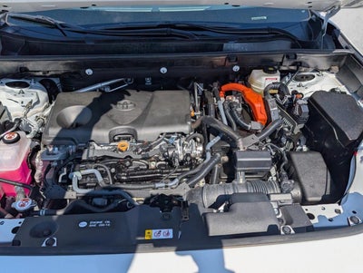 2025 Toyota RAV4 Hybrid LE AWD (Natl)