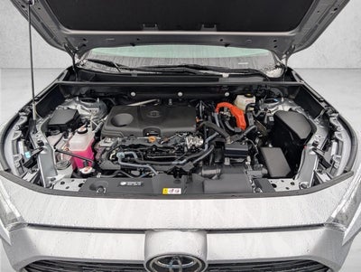2025 Toyota RAV4 Hybrid LE AWD (Natl)