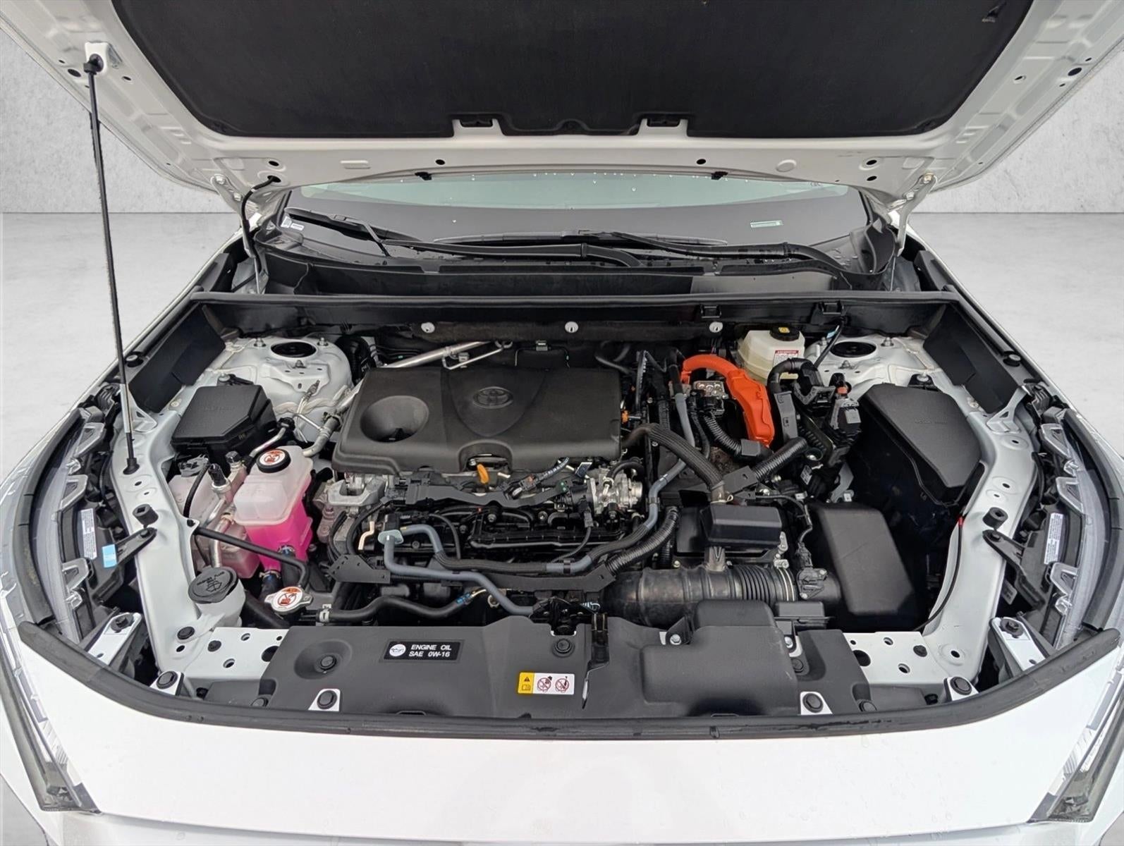 2025 Toyota RAV4 Hybrid LE AWD (Natl)
