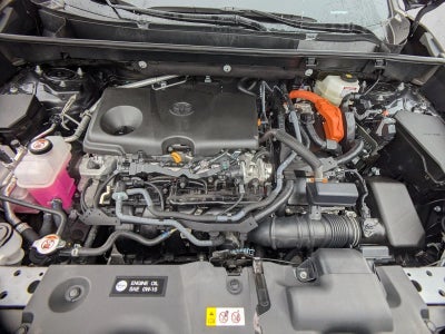 2025 Toyota RAV4 Hybrid LE AWD (Natl)