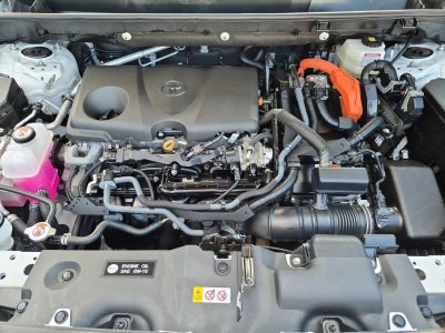 2025 Toyota RAV4 Hybrid XLE AWD (Natl)
