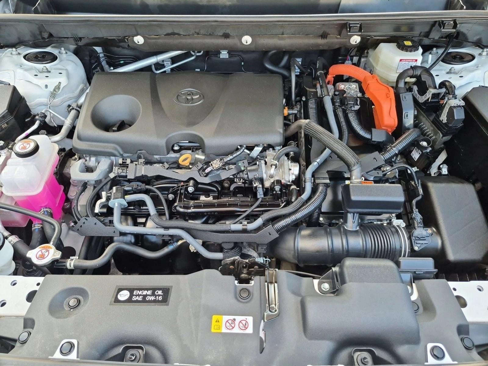 2025 Toyota RAV4 Hybrid XLE AWD (Natl)