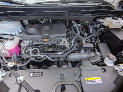 2021 Toyota Sienna XLE FWD 7-Passenger (Natl)