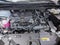 2021 Toyota Sienna XLE FWD 7-Passenger (Natl)