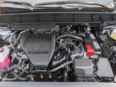 2025 Toyota Highlander Platinum AWD (Natl)