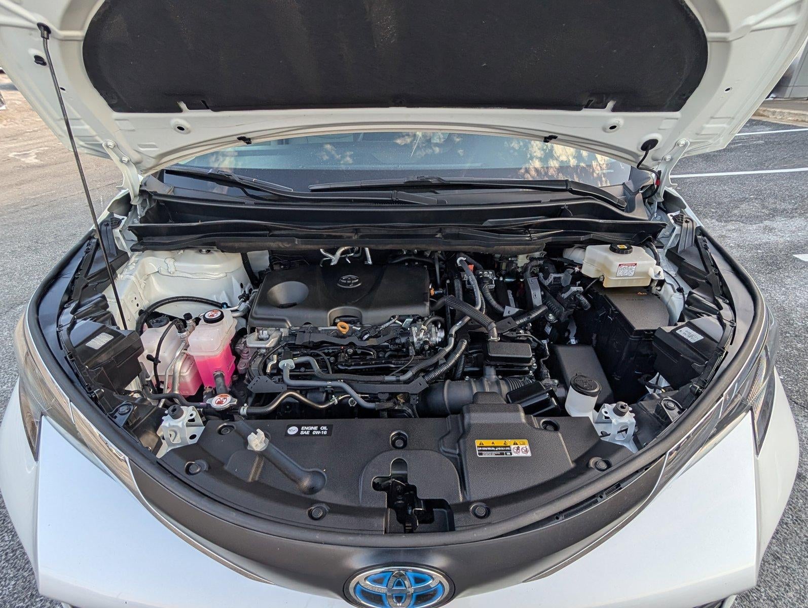 2024 Toyota Sienna XLE FWD 8-Passenger (Natl)