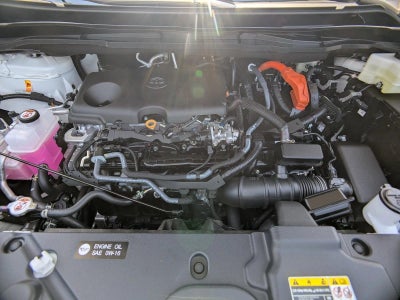 2026 Toyota Sienna Limited AWD 7-Passenger (Natl)