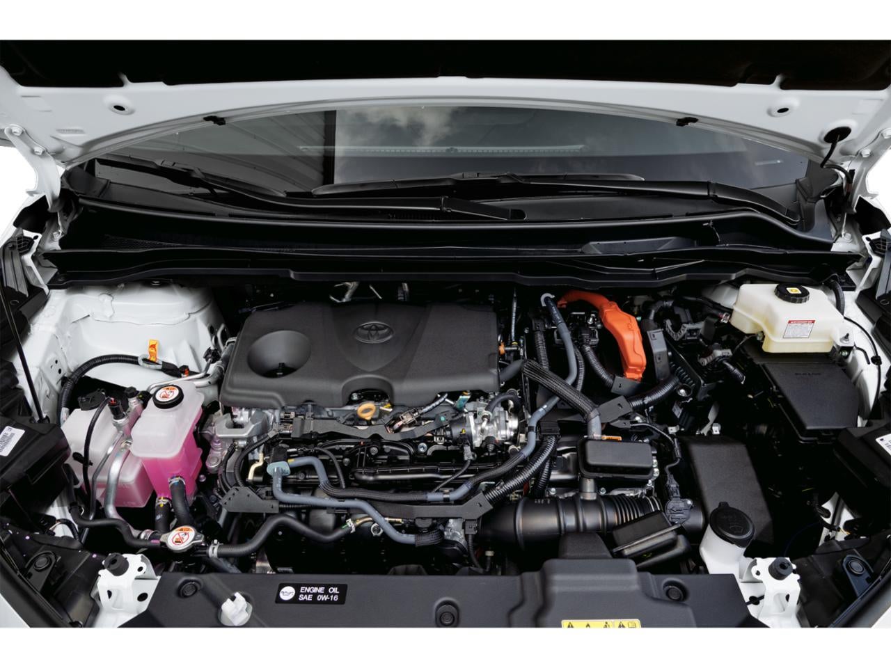2026 Toyota Sienna Limited AWD 7-Passenger (Natl)