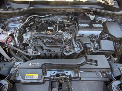 2023 Toyota Corolla Cross XLE 4WD (Natl)