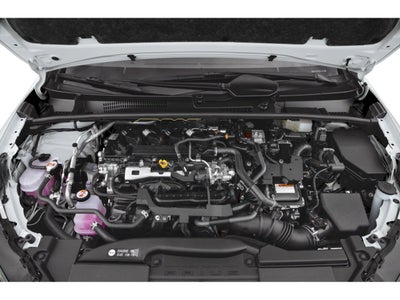 2023 Toyota Prius LE AWD (Natl)