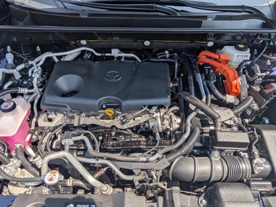 2023 Toyota RAV4 Prime SE (Natl)