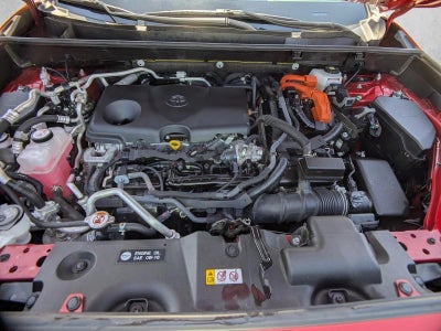 2023 Toyota RAV4 Prime XSE (Natl)